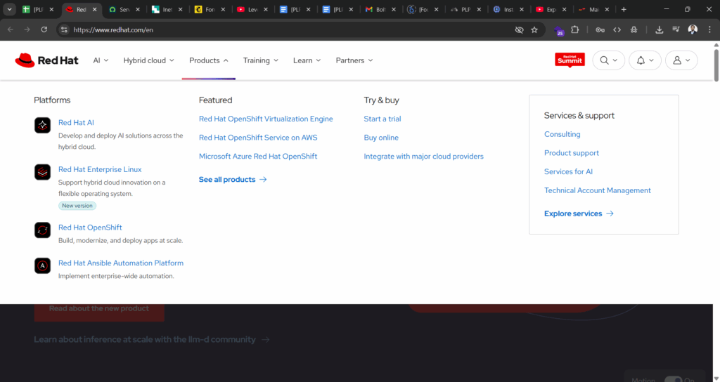 Sous les liens vers les catégories de produits, Red Hat a rajouté de courtes explications qui aident à comprendre ce dont il retourne plus facilement.