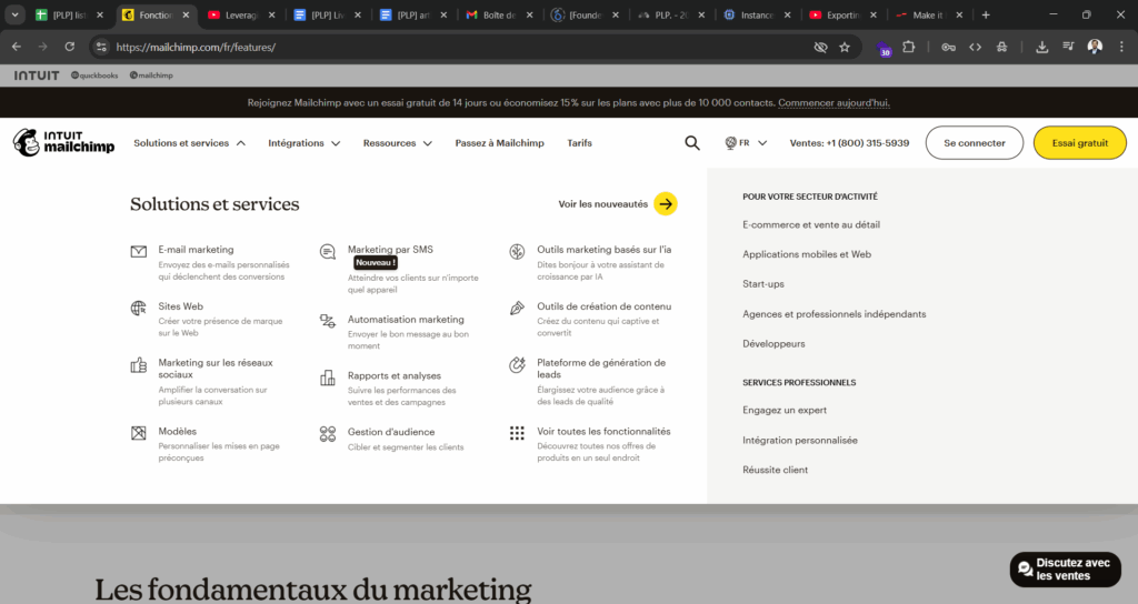 Sur la quarantaine de produits disponibles sur le site, le sous menu du site Mailchimp propose une dizaine d’entrées.