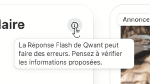 Avertissement de Qwant: "La Réponse Flash de Qwant peut faire des erreurs. Pensez à vérifier les informations proposées."
